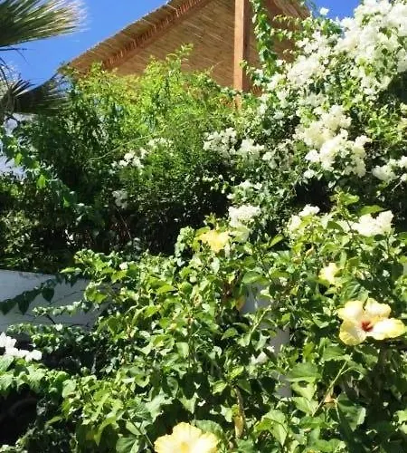 Casa Augusta ストロンボリ